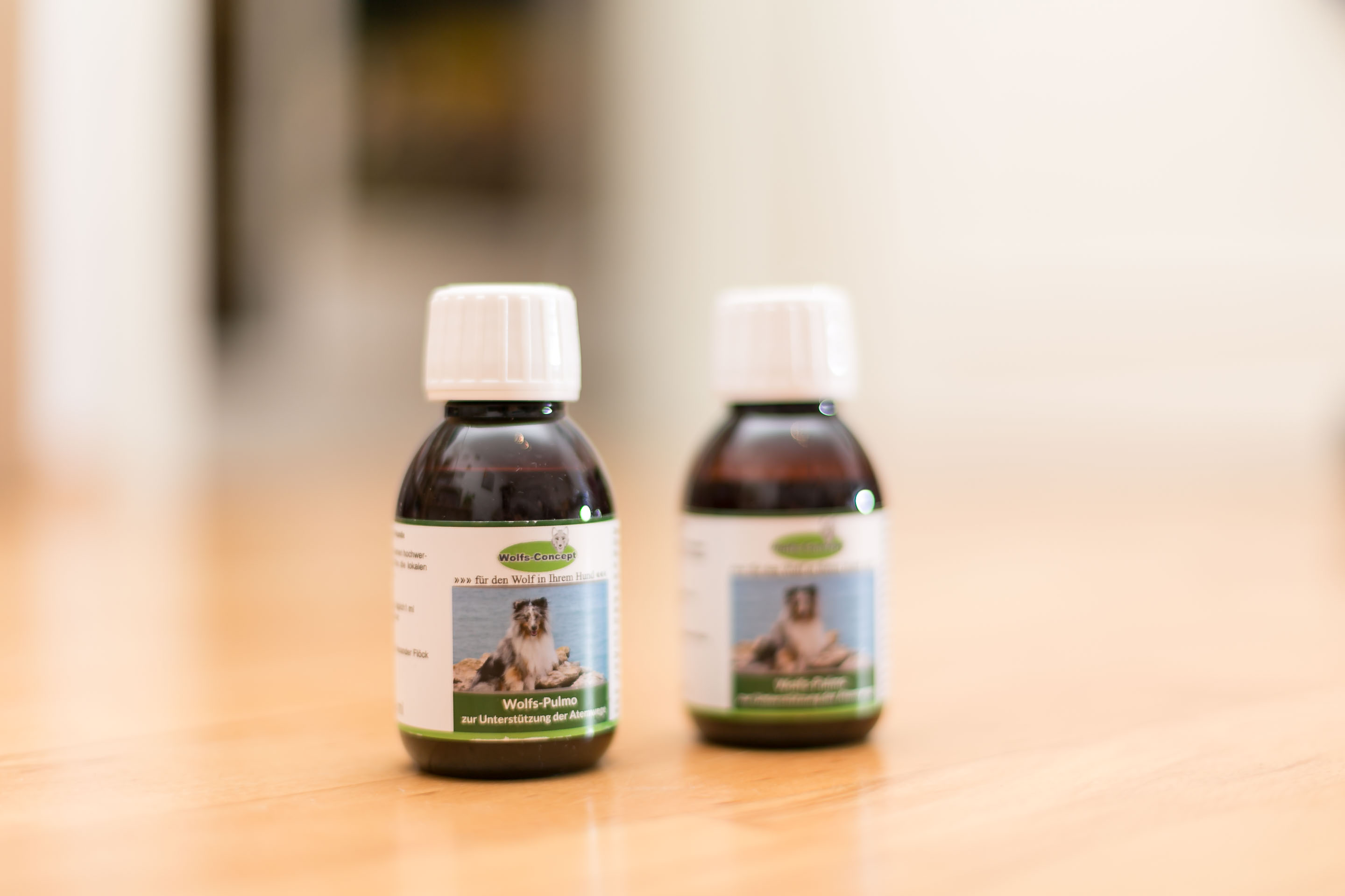 Husten beim Hund was nun? Guardian Peak